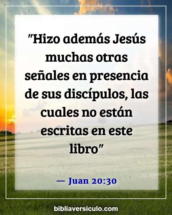 Versículos de la Biblia Sobre Juan siendo el autor del evangelio de Juan (Juan 20:30)