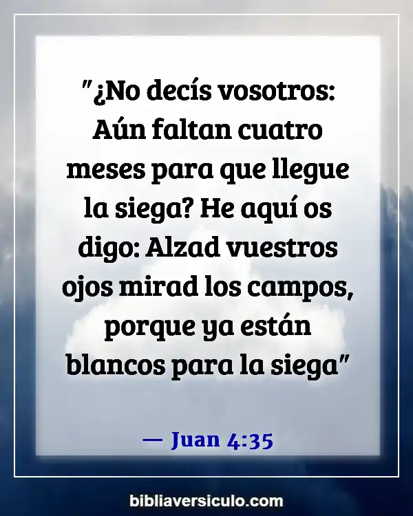 Versículos de la Biblia Sobre Agricultura (Juan 4:35)