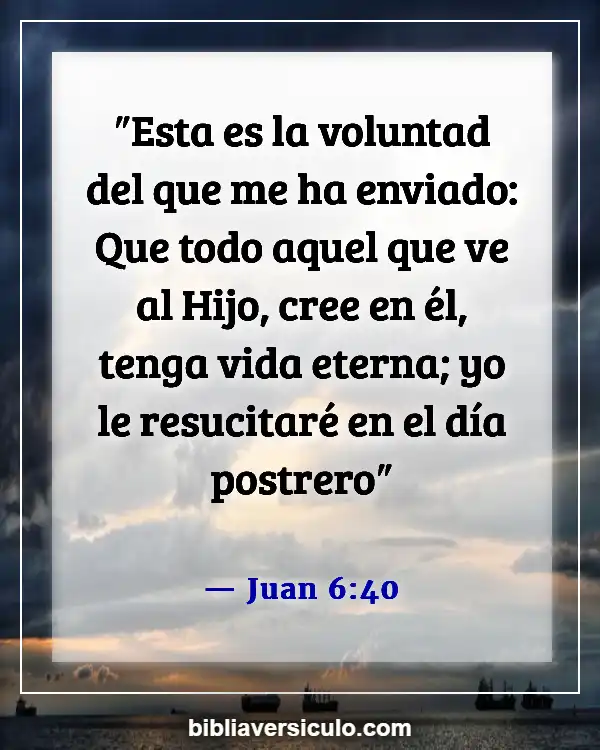 Versículos de la Biblia Sobre El alma (Juan 6:40)