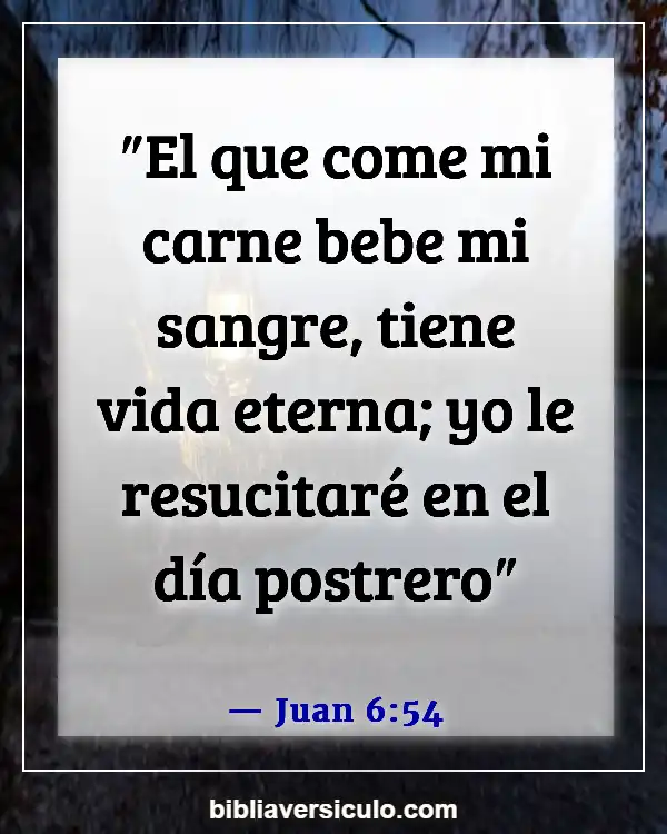 Versículos de la Biblia Sobre Echar de menos a alguien (Juan 6:54)