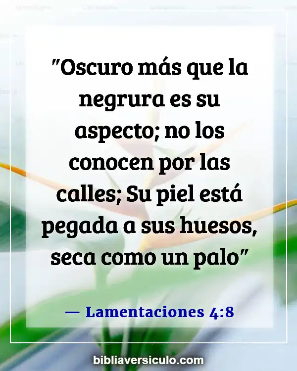 Versículos de la Biblia Sobre Negros (Lamentaciones 4:8)