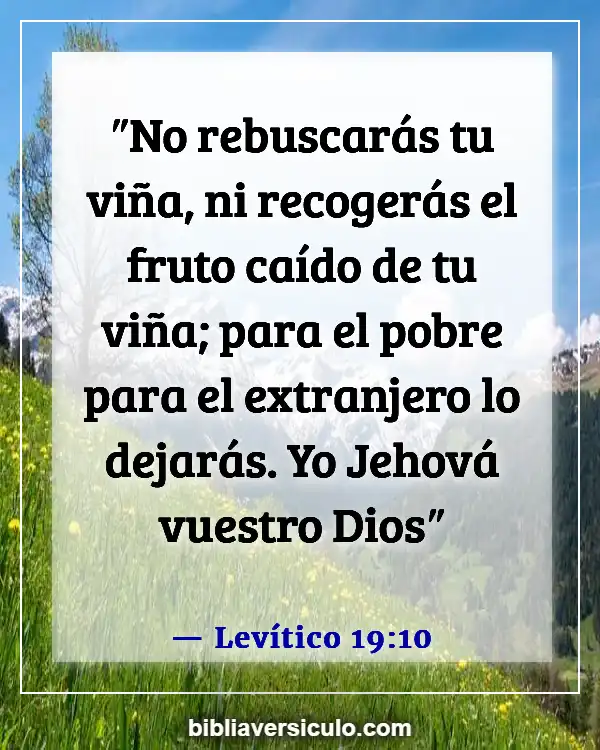 Versículos de la Biblia Sobre Barba (Levítico 19:10)