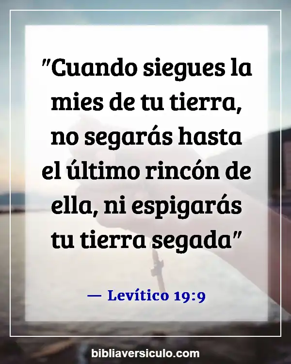 Versículos de la Biblia Sobre Agricultura (Levítico 19:9)
