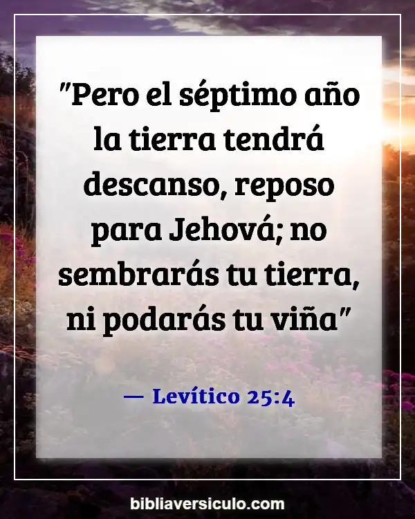Versículos de la Biblia Sobre Agismo (Levítico 25:4)