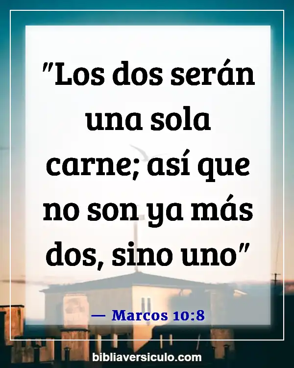 Versículos de la Biblia Sobre Poligamia (Marcos 10:8)