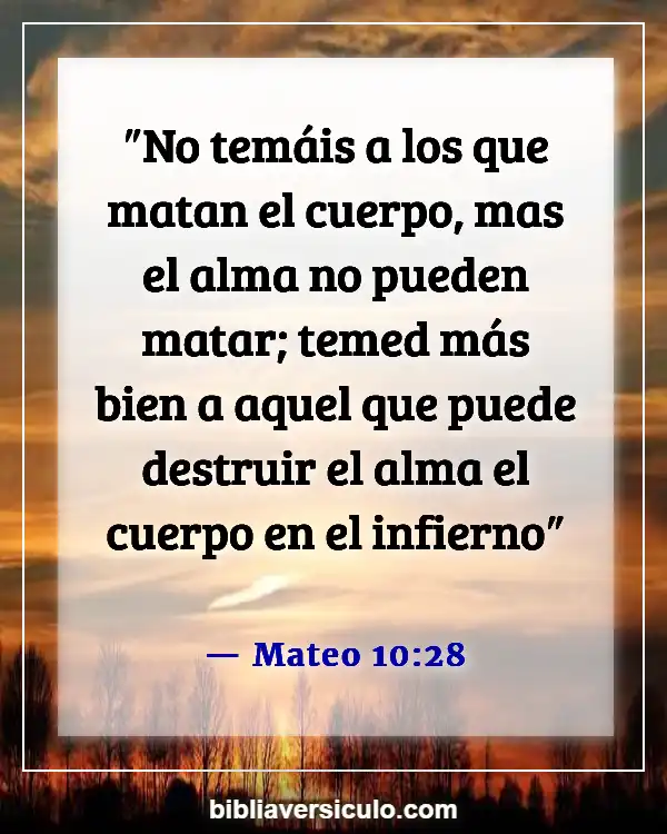 Versículos de la Biblia Sobre Seres queridos fallecidos (Mateo 10:28)