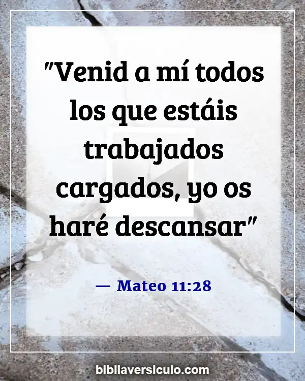 Versículos de la Biblia Sobre Seres queridos fallecidos (Mateo 11:28)