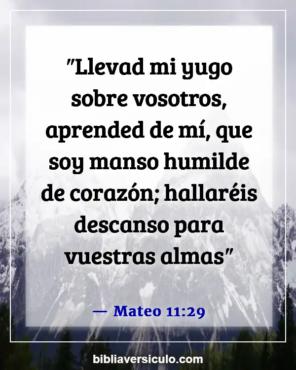 Versículos de la Biblia Sobre Descansar (Mateo 11:29)