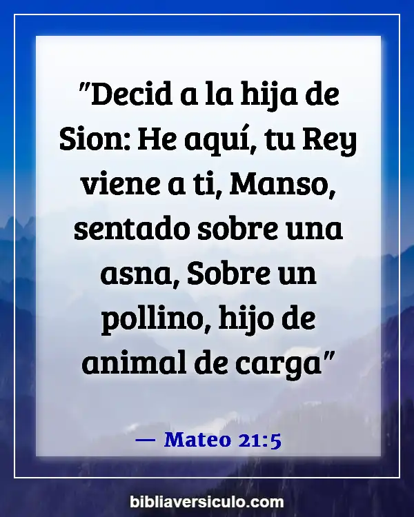 Versículos de la Biblia Sobre Baloncesto (Mateo 21:5)