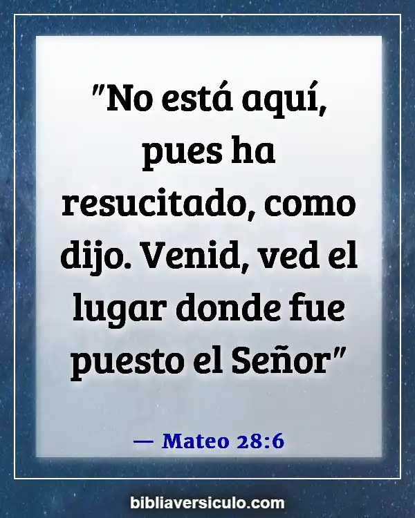 Versículos de la Biblia Sobre Resurrección de cristo (Mateo 28:6)