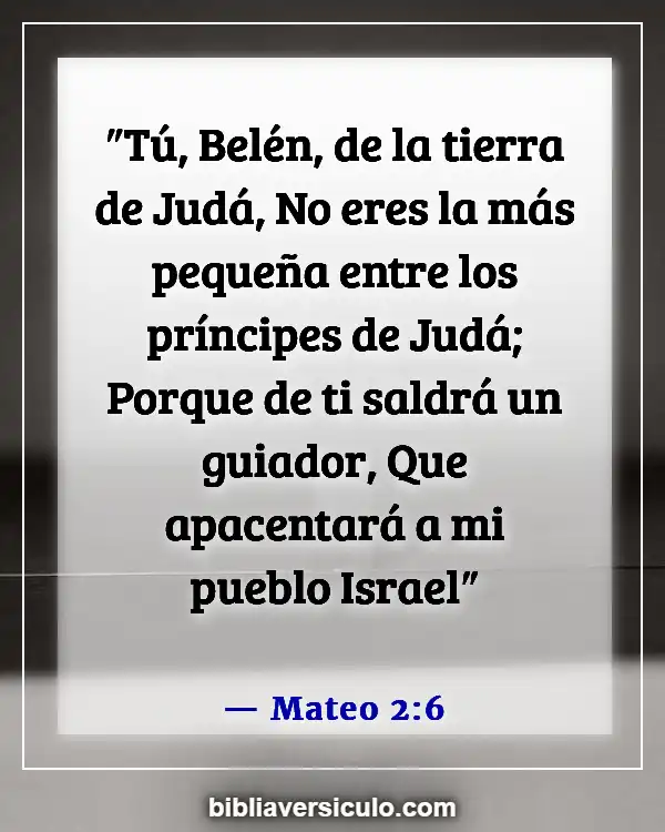 Versículos de la Biblia Sobre Siló (Mateo 2:6)