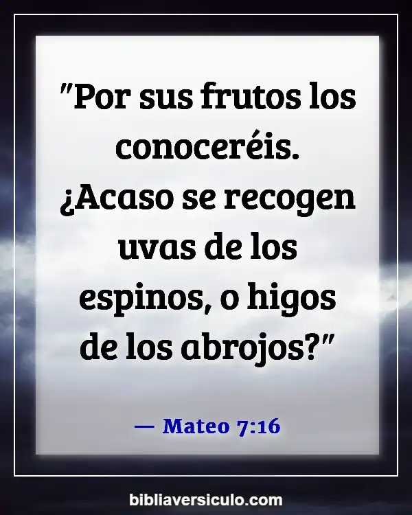 Versículos de la Biblia Sobre Juzgar no (Mateo 7:16)
