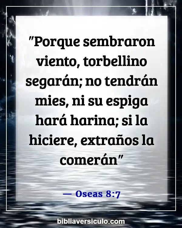Versículos de la Biblia Sobre El viento (Oseas 8:7)