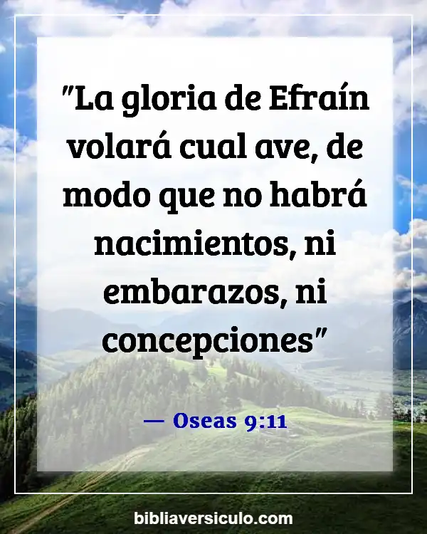 Versículos de la Biblia Sobre Aves (Oseas 9:11)