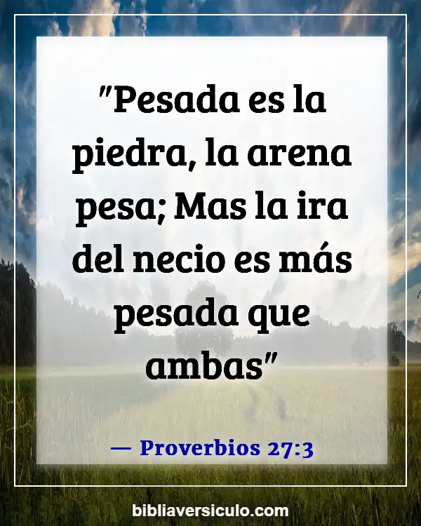 Versículos de la Biblia Sobre Albergando ira (Proverbios 27:3)