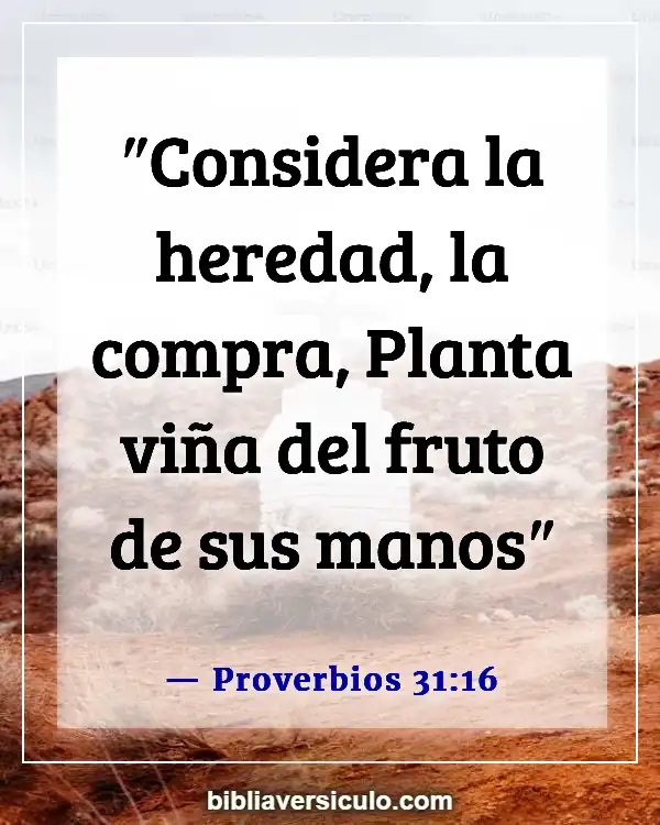 Versículos de la Biblia Sobre Emprendimiento (Proverbios 31:16)