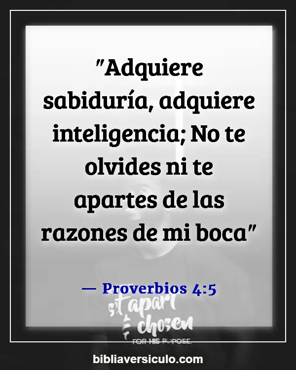 Versículos de la Biblia Sobre Buscando sabiduría (Proverbios 4:5)