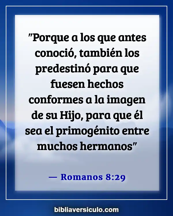 Versículos de la Biblia Sobre El militar (Romanos 8:29)