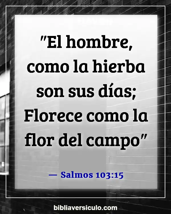 Versículos de la Biblia Sobre Flor de Sharon (Salmos 103:15)