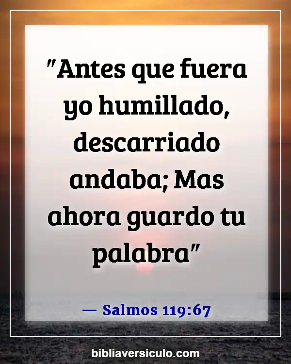Versículos de la Biblia Sobre Tentaciones (Salmos 119:67)