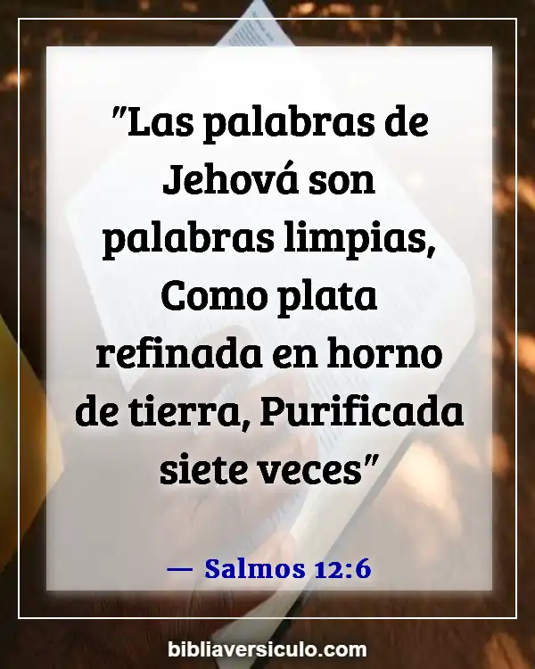 Versículos de la Biblia Sobre Palabra de dios (Salmos 12:6)