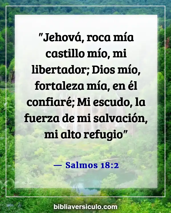 Versículos de la Biblia Sobre Seres queridos fallecidos (Salmos 18:2)