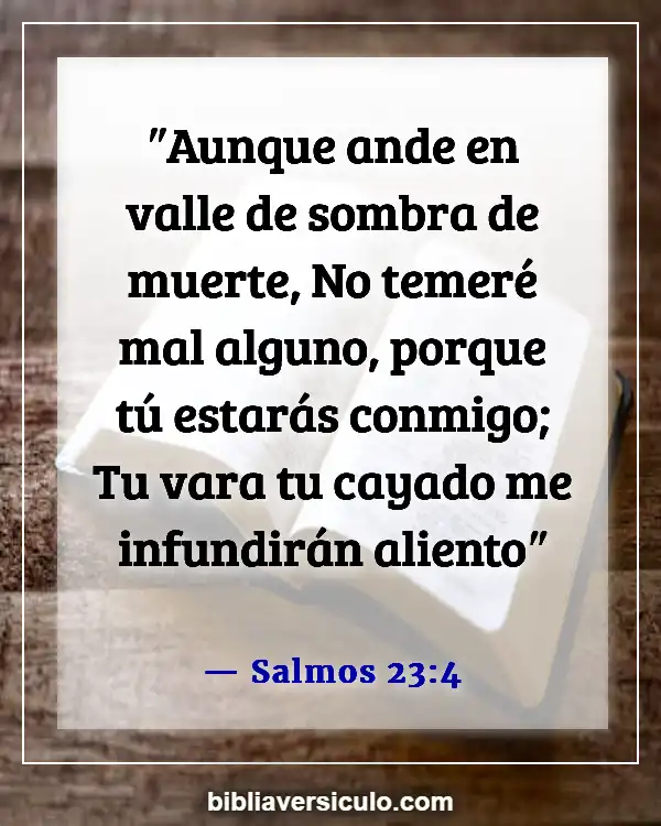 Versículos de la Biblia Sobre Seres queridos fallecidos (Salmos 23:4)