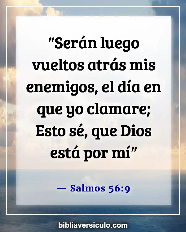 Versículos de la Biblia Sobre Seguridad (Salmos 56:9)
