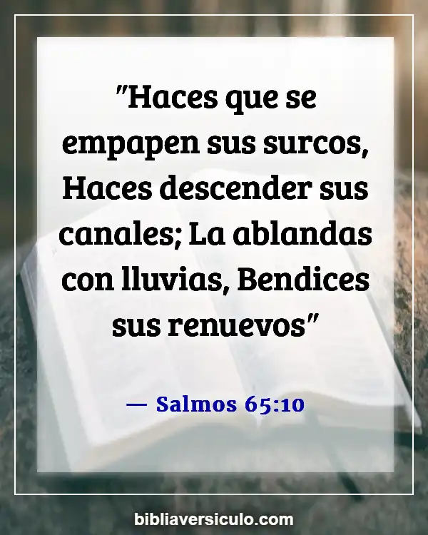 Versículos de la Biblia Sobre Agricultura (Salmos 65:10)