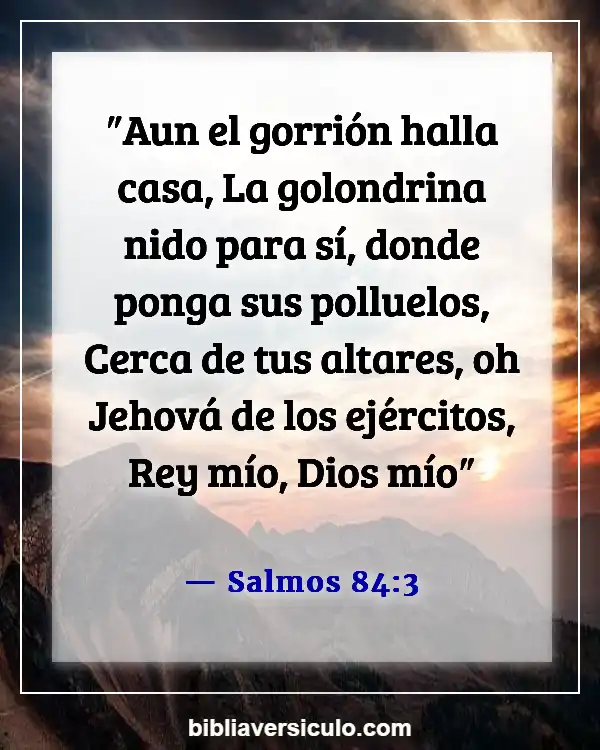 Versículos de la Biblia Sobre Aves (Salmos 84:3)