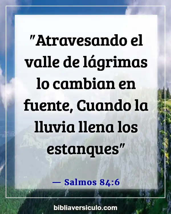 Versículos de la Biblia Sobre Caer (Salmos 84:6)