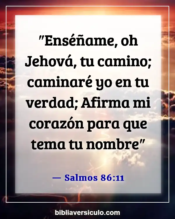 Versículos de la Biblia Sobre Gracia y verdad (Salmos 86:11)