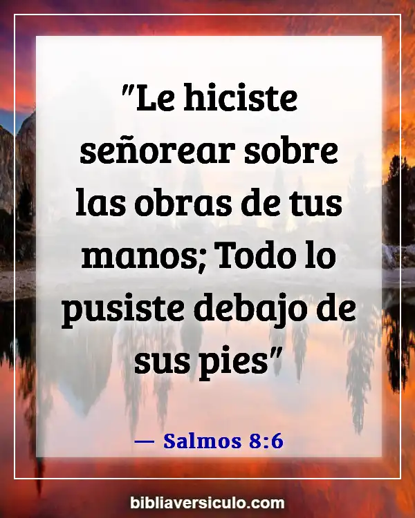 Versículos de la Biblia Sobre Pies Hermosos (Salmos 8:6)