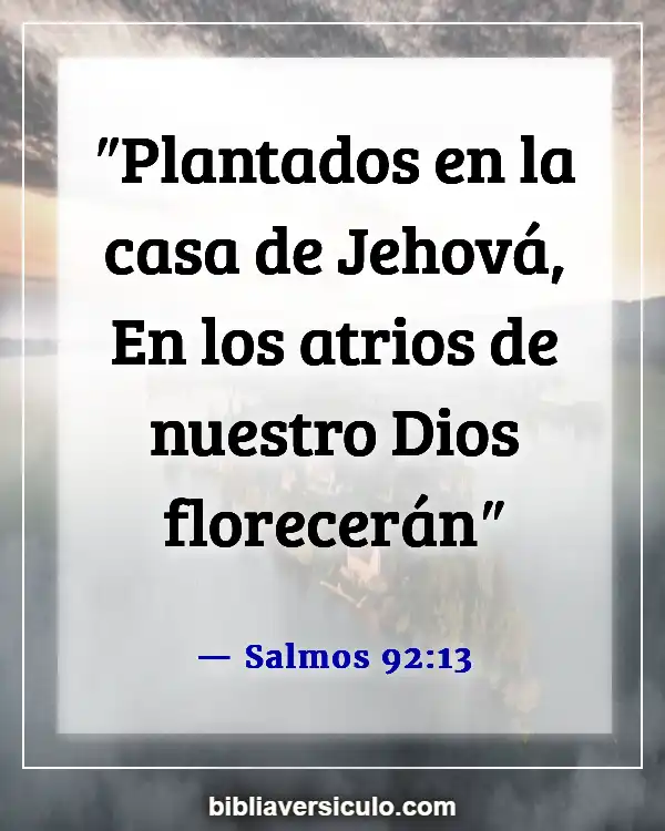 Versículos de la Biblia Sobre Encontrar una iglesia (Salmos 92:13)