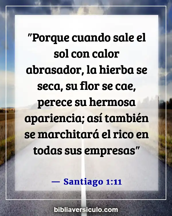 Versículos de la Biblia Sobre El sol (Santiago 1:11)