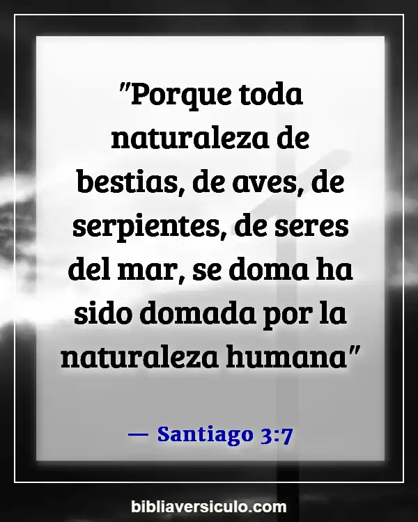 Versículos de la Biblia Sobre La boca (Santiago 3:7)