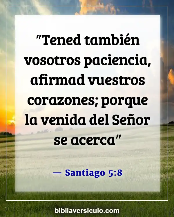 Versículos de la Biblia Sobre Fin del mundo (Santiago 5:8)