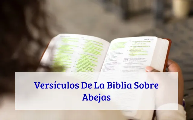 Versículos De La Biblia Sobre Abejas