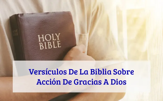 Versículos De La Biblia Sobre Acción De Gracias A Dios