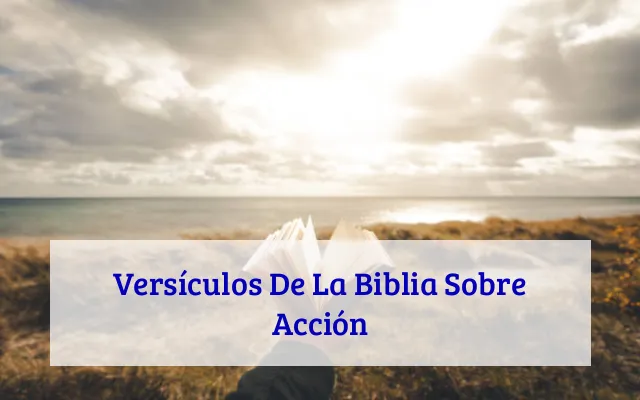 Versículos De La Biblia Sobre Acción