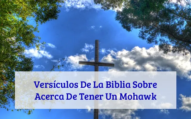 Versículos De La Biblia Sobre Acerca De Tener Un Mohawk