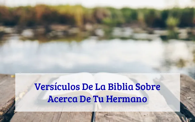 Versículos De La Biblia Sobre Acerca De Tu Hermano