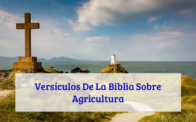 Versículos De La Biblia Sobre Agricultura