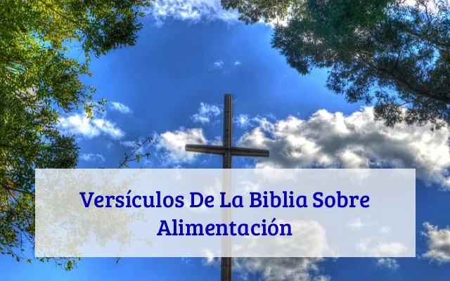Versículos De La Biblia Sobre Alimentación