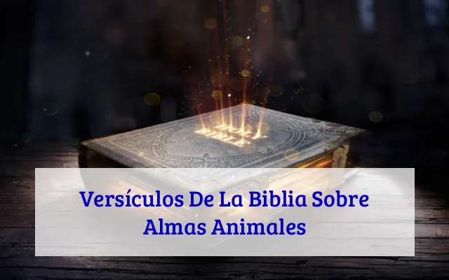 Versículos De La Biblia Sobre Almas Animales