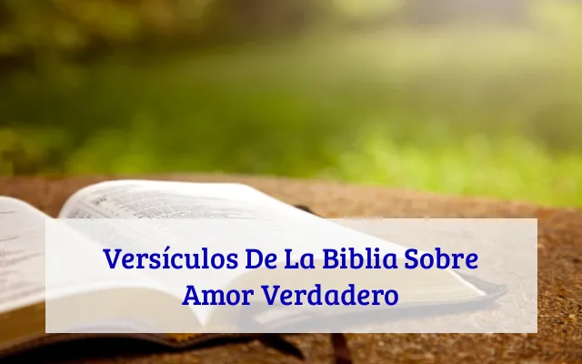 Versículos De La Biblia Sobre Amor Verdadero