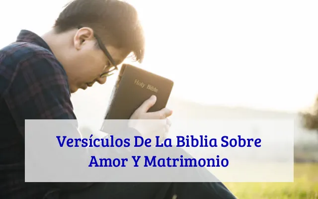 Versículos De La Biblia Sobre Amor Y Matrimonio