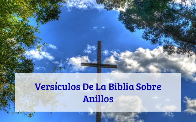 Versículos De La Biblia Sobre Anillos