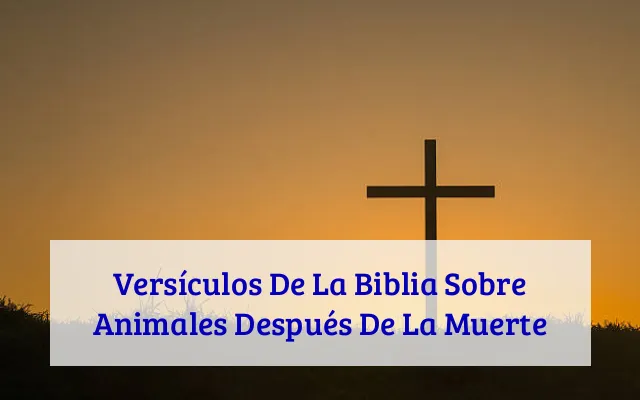 Versículos De La Biblia Sobre Animales Después De La Muerte