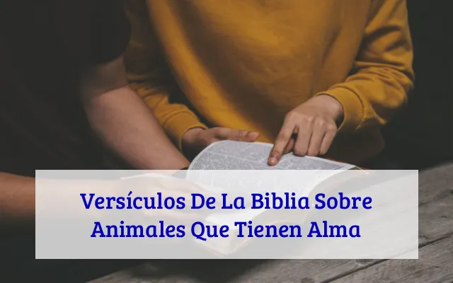 Versículos De La Biblia Sobre Animales Que Tienen Alma